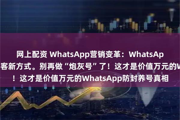 网上配资 WhatsApp营销变革：WhatsApp磐石系统外贸老板的获客新方式。别再做“炮灰号”了！这才是价值万元的WhatsApp防封养号真相