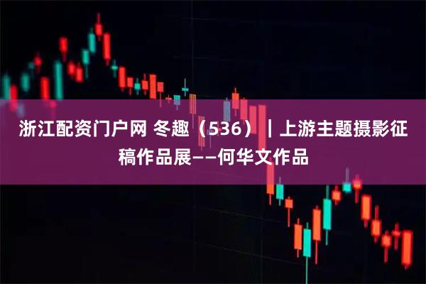 浙江配资门户网 冬趣（536）｜上游主题摄影征稿作品展——何华文作品