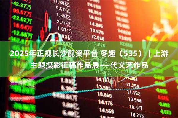 2025年正规长沙配资平台 冬趣（535）｜上游主题摄影征稿作品展——代文艺作品