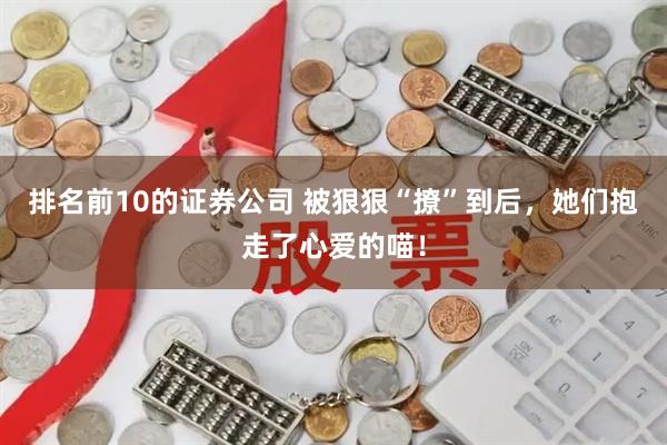 排名前10的证券公司 被狠狠“撩”到后，她们抱走了心爱的喵！